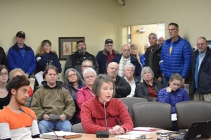 Sarah Vance speaks on Resolution 17-019 at the Homer City Council Committe of the Whole meeting on Monday night. Shahmeer Azmat, left, waits his turn.