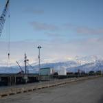 A boat is loaded at the Deep Water Dock on Tuesday afternoon at the Homer Harbor.