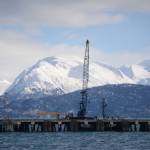 A boat is loaded at the Deep Water Dock on Tuesday afternoon at the Homer Harbor.