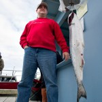 Joe Edwards of Houston, Texas, watches as his king salmon weights in at 16.2 pounds at the Douglas Harbor for the Golden North Salmon Derby in August of 2011. Scientists with the National Oceanic and Atmospheric Administration in Juneau said the 28-inch size limit for chinook salmon, while intended as a conservation measure, may be removing fast-growing fish from the population over time.