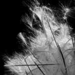 Clay, wood featured in First Friday shows