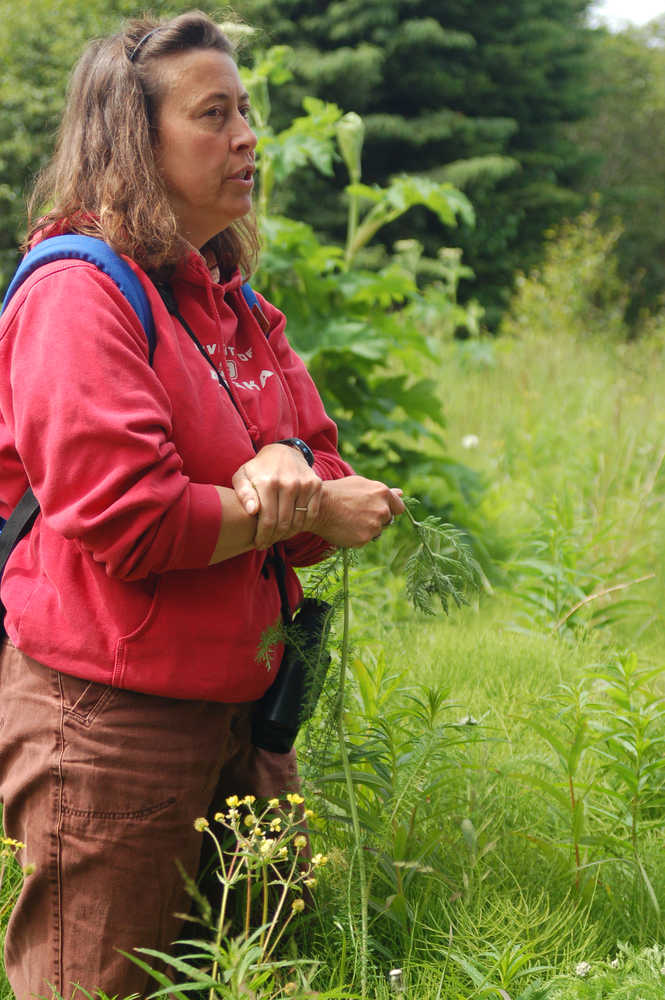 Carmen Field holds a stalk of yarrow and explains its medicinal uses during an Estuary Walk in July 2011.-Homer News file photo