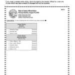 Republicans vie for District 31 seat