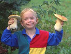 Neil McArthur and Harriette Parker's son Colin McArthur shows off two King Boletees in 1994, when he was about 5 years old. Colin was in on preparation for the 1994 edition of Alaska's Mushrooms at an early age and it influenced him later, Neil said. Colin lives in Portland, Ore. and is part of the band Animal Eyes, which plays in Homer every year. One of their songs is called "Mushroom Hunter."-photo provided