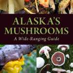 The updated version of late-Homer resident Harriette Parker's "Alaska's Mushrooms" was revised and added to by Gary A. Laursen, an expert on mushrooms and fungi in Fairbanks. Parker's husband Neil McArthur suggested Laursen to the publisher when asked who should revise the book. -photo provided by Graphic Arts Books