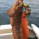 Strange fish found in deep waters