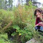 Coowe Walker, watershed specialist for Kachemak Bay Research Reserve, shows the stream where baby salmon where found on Jen and Paul Castellani's property as part of research on salmon habitats. Walker was part of a team that placed antennas on the Castellani's property that tracked the movement of fish to find previously unknown habitats.