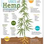 Hemp proposed as agricultural crop for Alaska