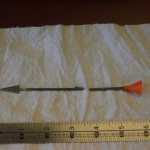 One of the blowgun darts a Steller's jay was shot with in the area of Pioneer