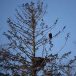 Best Bets, week of March 9