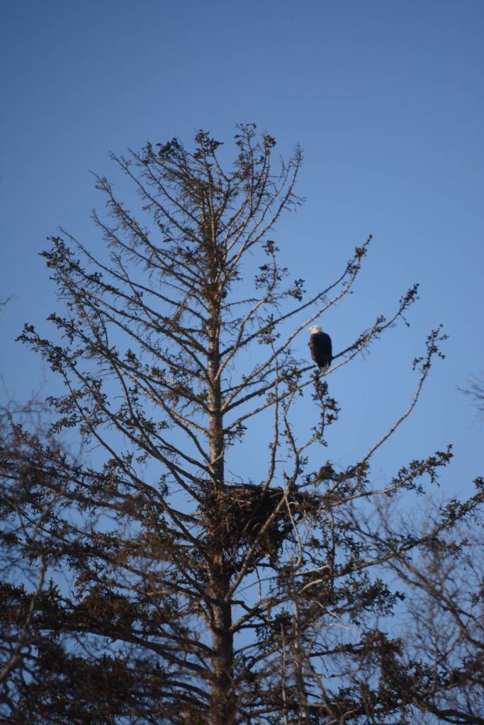 Best Bets, week of March 9