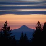 Best Bets, week of March 9