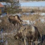 Best Bets, week of March 9