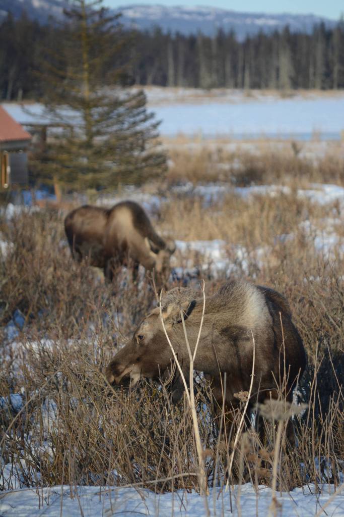 Best Bets, week of March 9