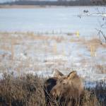 Best Bets, week of March 9