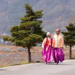 Docfest celebrates lucky 13