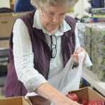 Diana Jeska bags apples at the Homer Food Pantry on Sept. 26 at Homer United Methodist Church.