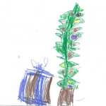 Colton Millier: Dear Santa, please can I have a helicopter with a remote? Do you like making toys?