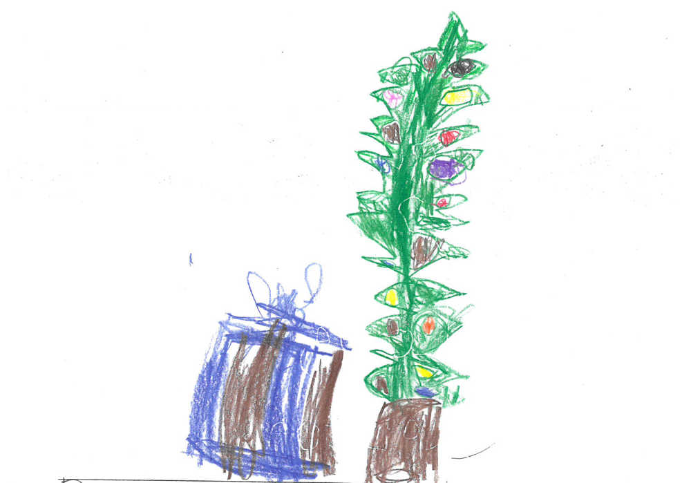 Colton Millier: Dear Santa, please can I have a helicopter with a remote? Do you like making toys?