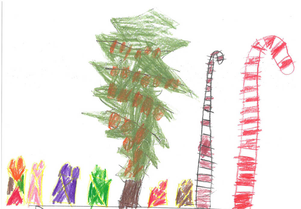 Sawyer Johnson: Dear Santa, do you like red jello? Can you please bring me a skateboard? Thank you.