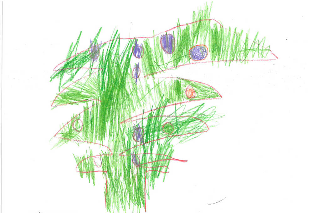 Liam Overdorf: Dear Santa, how is your wife? I want a Batman and Superman Legos please.