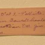 Mae Remme's "Northern Lights" was inspired by a Drew family diary entry that said "N. lights. Bright garden."