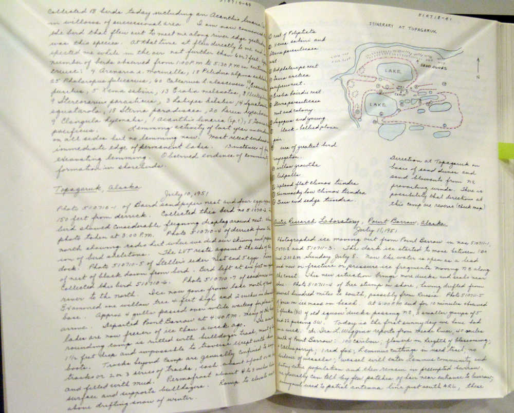 Mary Bee Kaufman's "Field Notes" was inspired by the Acrtic notebooks of her father, naturalist James W. Bee.