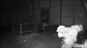 A still from a security camera shows a thief taking items from the South Peninsula Athletics and Recreation Complex about 1:30 a.m. Jan. 6. Homer Police allege that Johnney Boy Newman, 25, is the thief shown in this image.