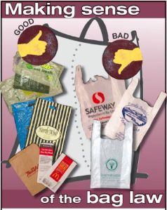 Making Sense of the bag law