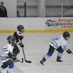 Twelve teams compete in Homer hockey tournament