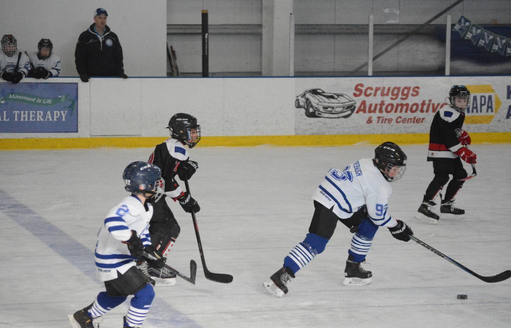 Twelve teams compete in Homer hockey tournament