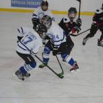 Twelve teams compete in Homer hockey tournament