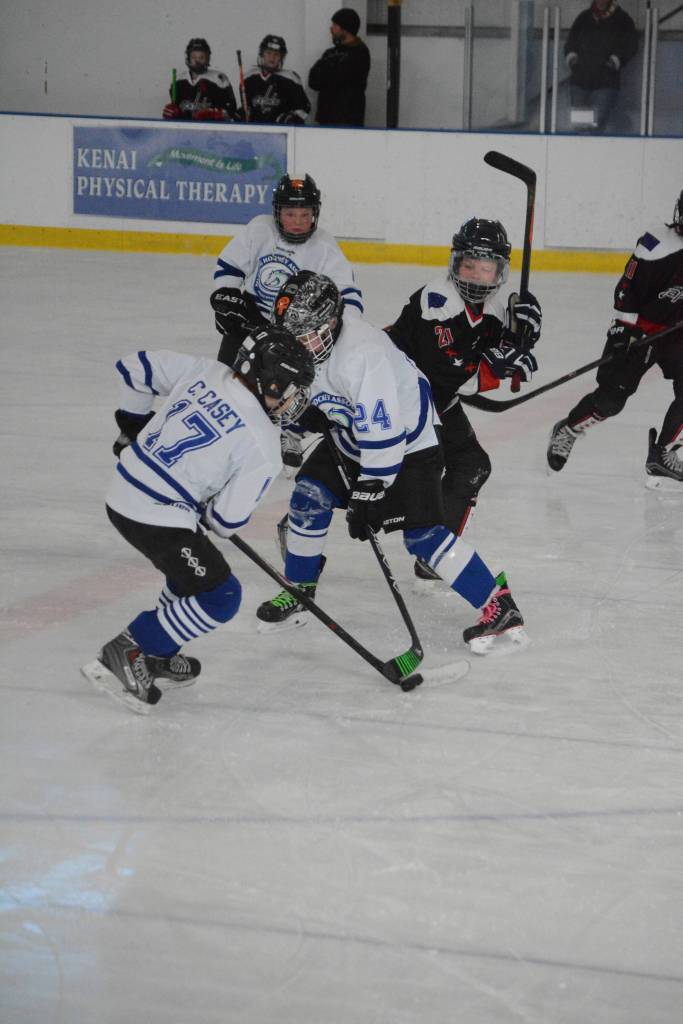 Twelve teams compete in Homer hockey tournament