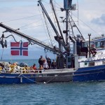 The Spurkland family waves from the F/V Centurion as King Harald V leaves the Homer Harbor on the Rainbow Connection on Tuesday.-Photo by Michael Armstrong; Homer News