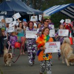 Relay for life celebrates cancer survivors