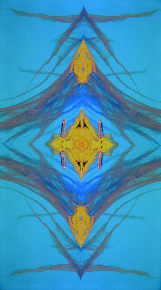 Michael Walsh's “Gyre”