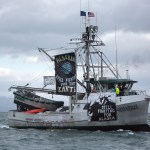 Protest targets military exercise