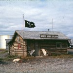 Cruise ship passengers wait for a shuttle bus by the Salty Dawg on Labor Day 2014-Photo by Michael Armstrong, Homer News