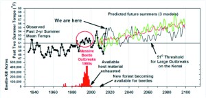Fig. 2. Global climate models scaled to the Kenai predict warmer summers throughout this century. The models predict that post-2030 mean summer temperatures will always be above the threshold for large spruce bark beetle outbreaks, if there are any trees available.  Observed temperatures are from the Homer airport since 1932. Climate models are Germany (green), Canada (red) and USA (black). Lower graph shows annual beetle-kill for southern Kenai since aerial surveys began in 1971 (US Forest Service). -Graphic by Ed Berg