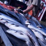 -Photo by Michael Armstrong