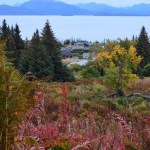 photo by Annie Rosenthal