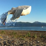 Abigail Kokai’s HomerWhale.-Photo provided