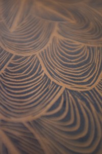 One of Kelsey Hardy-Place’s prints.-Photo provided