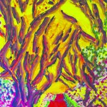 Work from the Science Fiction and Fantasy show at Ptarmigan Arts.