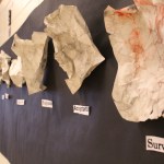 Student art imitates high schooler’s life