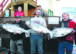 The top three winners in Homer’s 23rd Annual Winter King Salmon Tournament show off their fish to the crowd. From left are Colt Belmonte who placed third with his 24.8-pound king, winning $16,588; Kelly Grose, who placed second and won $21,112 with his 25.25-pound king; and Eric Holland, who took first place with his 26.45-pound king. Holland’s prize of $31,668 was more than the 2015 tournament’s first place prize. All the anglers are Homer residents.-Photo by Anna Frost, Homer News