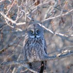 Ready for its close up