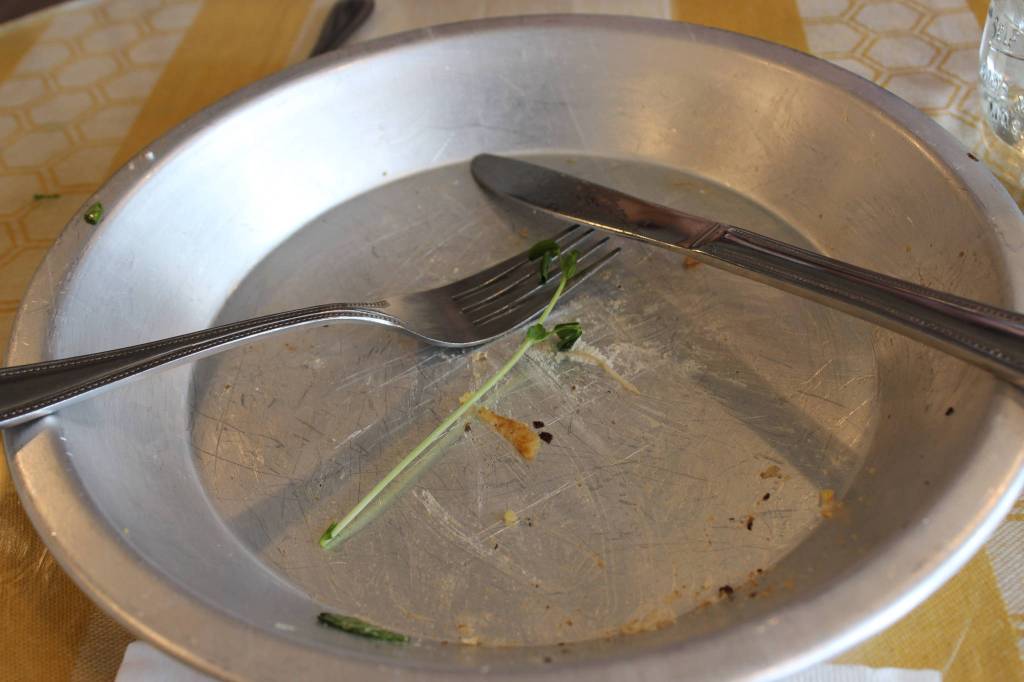 Wild Honey Bistro opens with a buzz