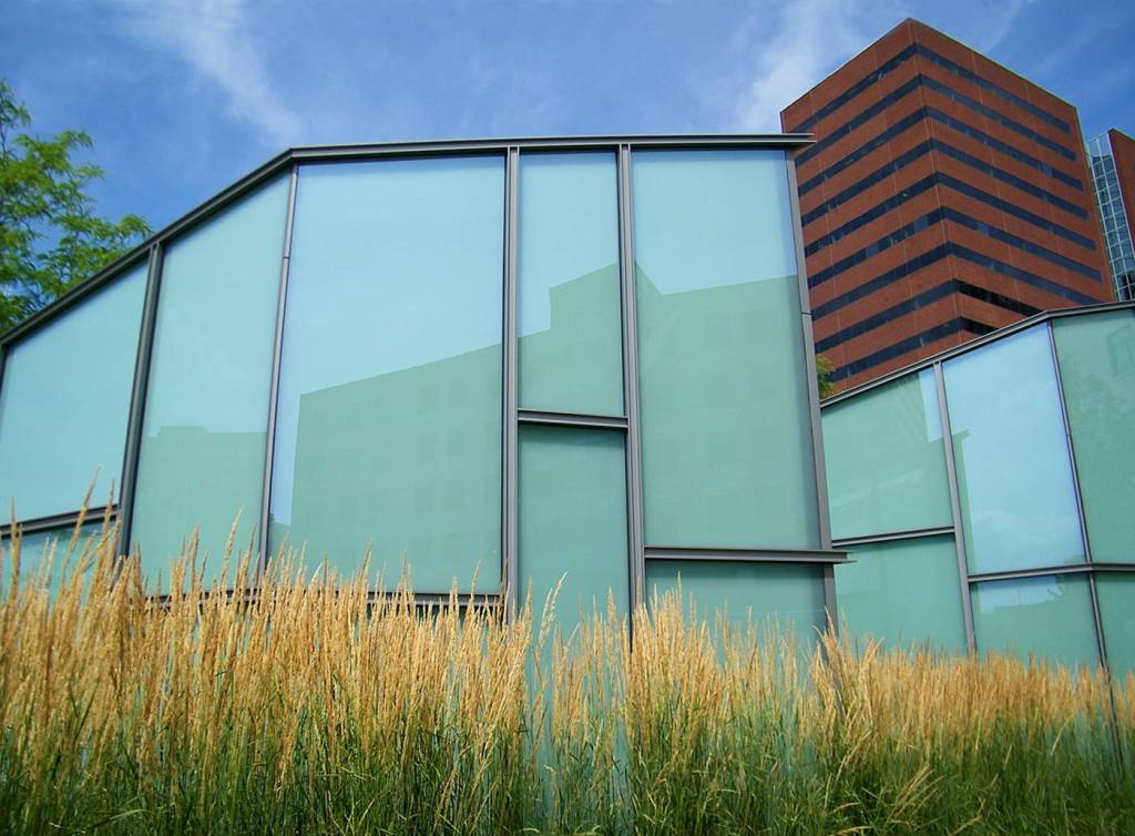 Birds return for shorebird month First Friday