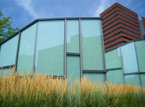 Birds return for shorebird month First Friday